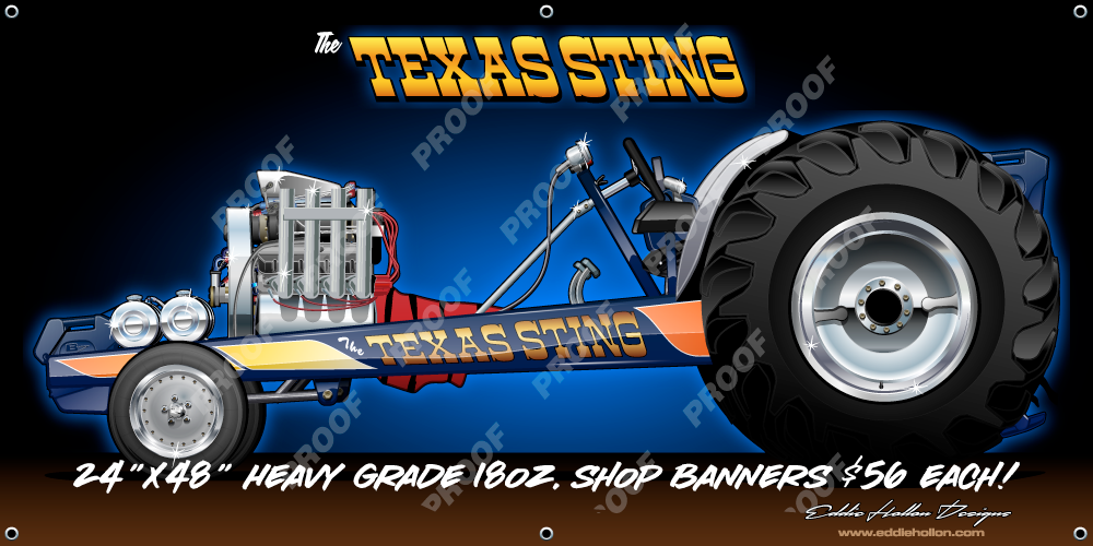 48X24 Shop Banner Texas Sting